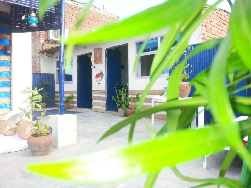 Eco Family Hostel Jaipur Bagian luar foto